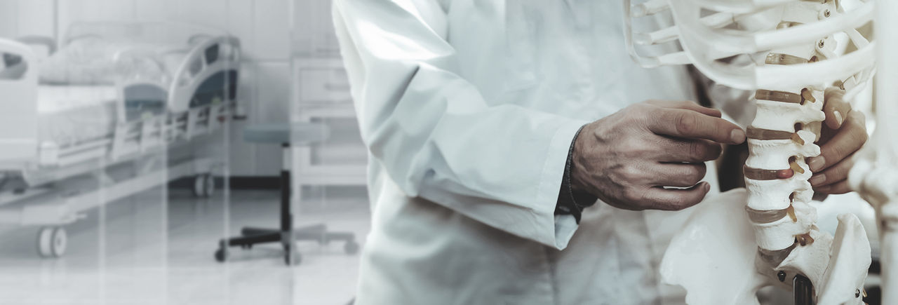 Doctor examining a spine model in hospital room